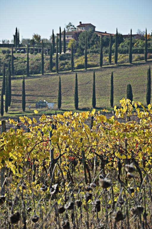 Adalberto - Nella Dimora Di Fulignano San Gimignano Exterior foto